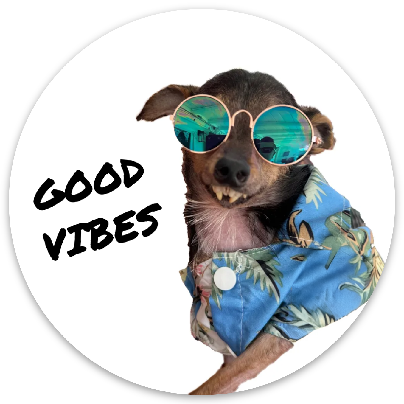 CIRCLE STICKER - GOOD VIBES 3"