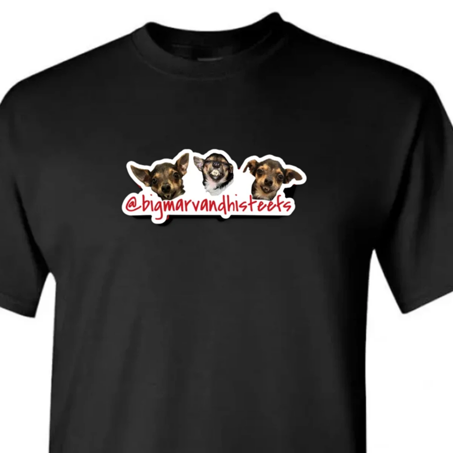 BIG MARV UNISEX T-SHIRT (3 HEADS LOGO)