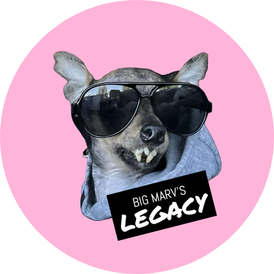 CIRCLE STICKER - LEGACY PINK 3"