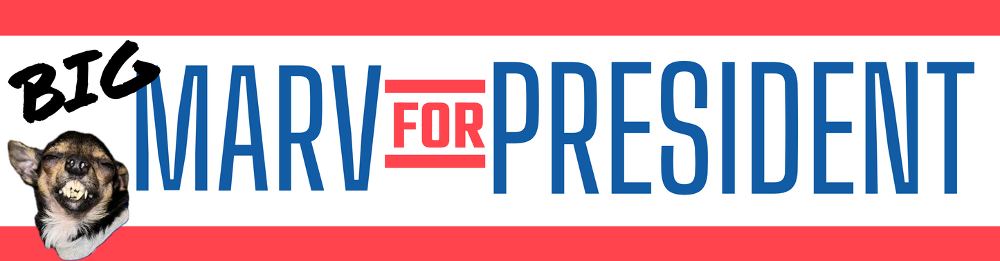 BUMPER MAGNET - A PRESIDENTIAL BUMPER MAGNET