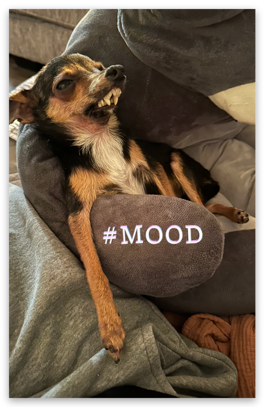 MOOD STICKER 3"
