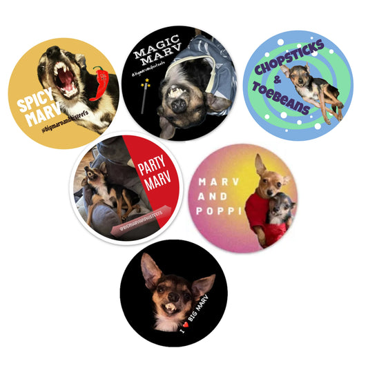 CIRCLE STICKER BUNDLE - 6 PCS