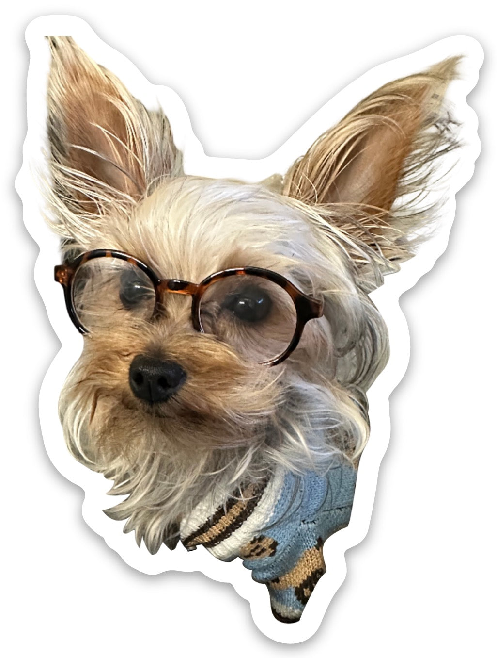 MAGNET- JOHN IN GLASSES
