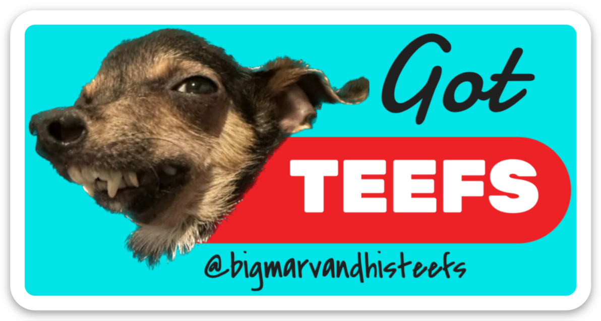 GOT TEEFS * STICKER 4" x 2"