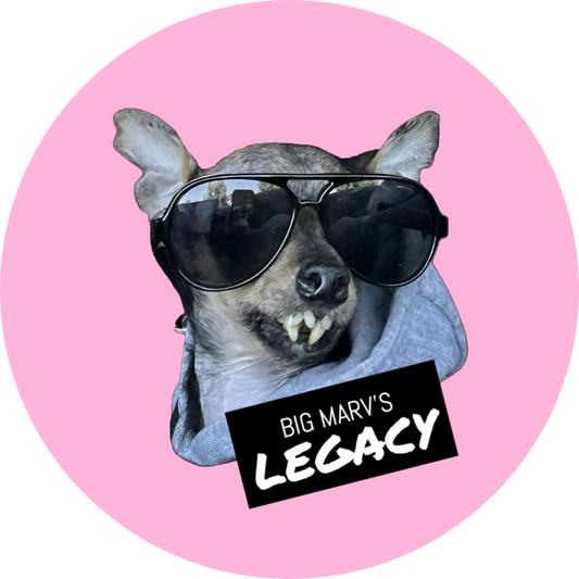 CIRCLE STICKER - LEGACY PINK 3"