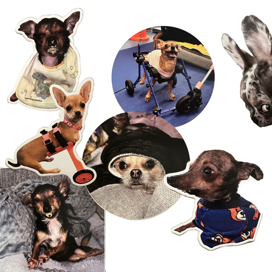 A Sticker Pack #5