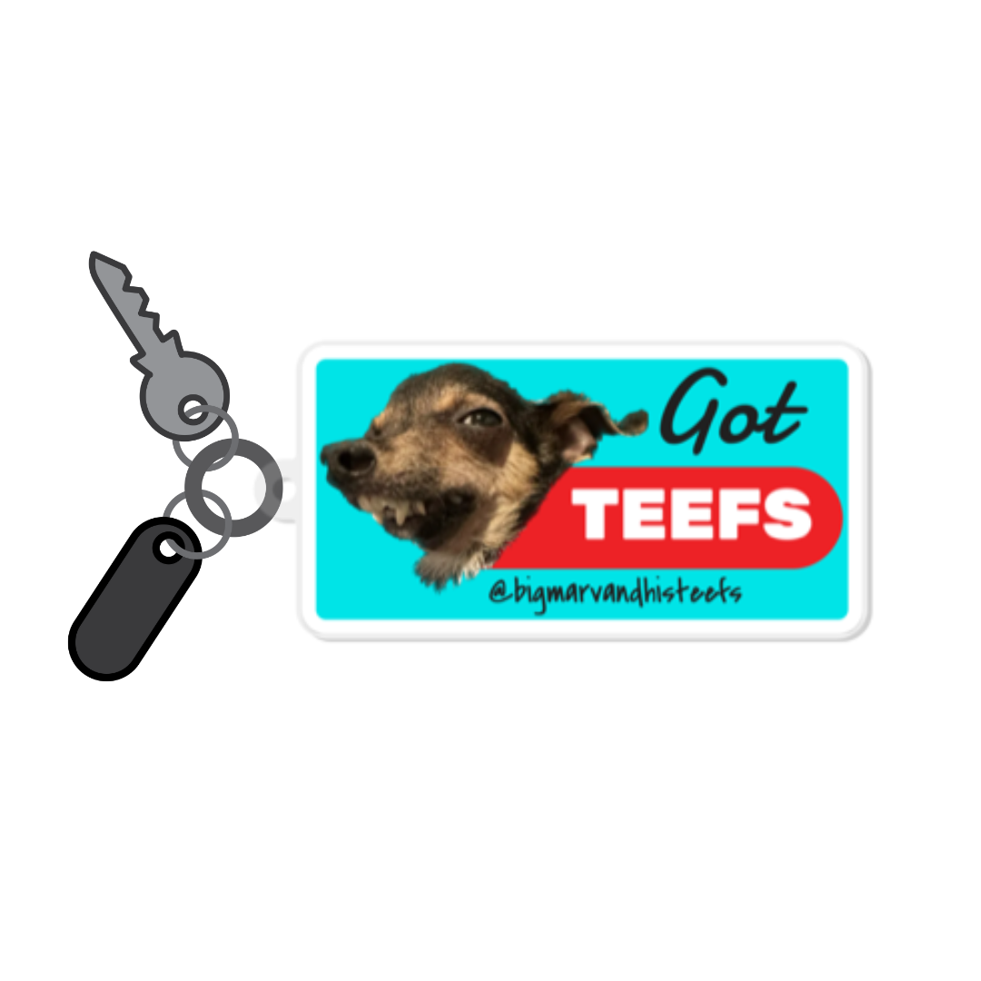 GOT TEEFS * KEYCHAIN 3.8" x 2"