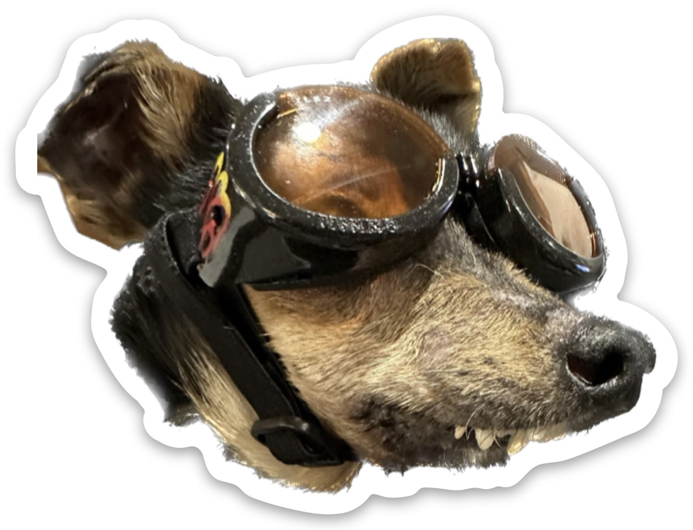 MARV IN GOGGLES * STICKER 3"