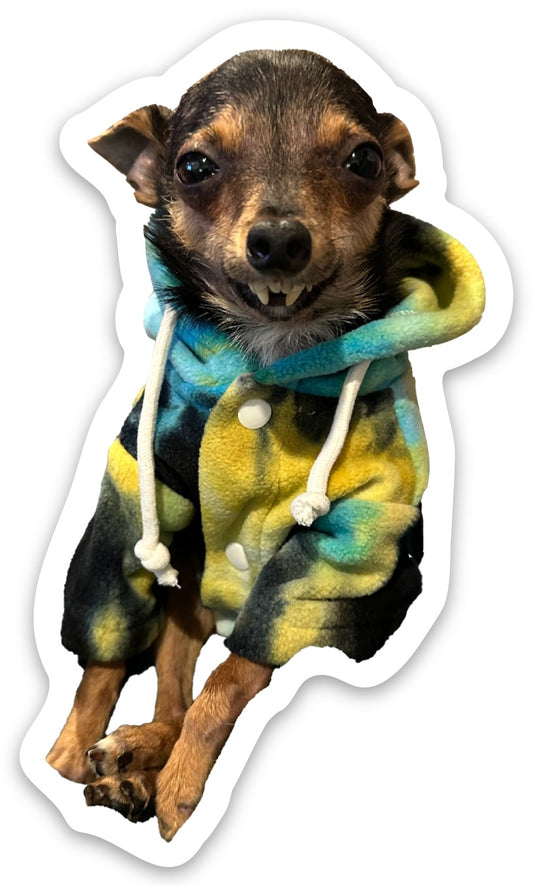 MARV IN A TIE DYE HOODIE * STICKER 3"