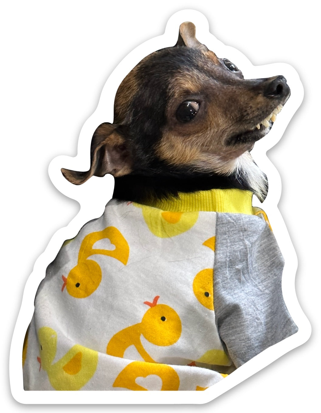 MARV IN DUCKIE JAMMIES * STICKER 3"